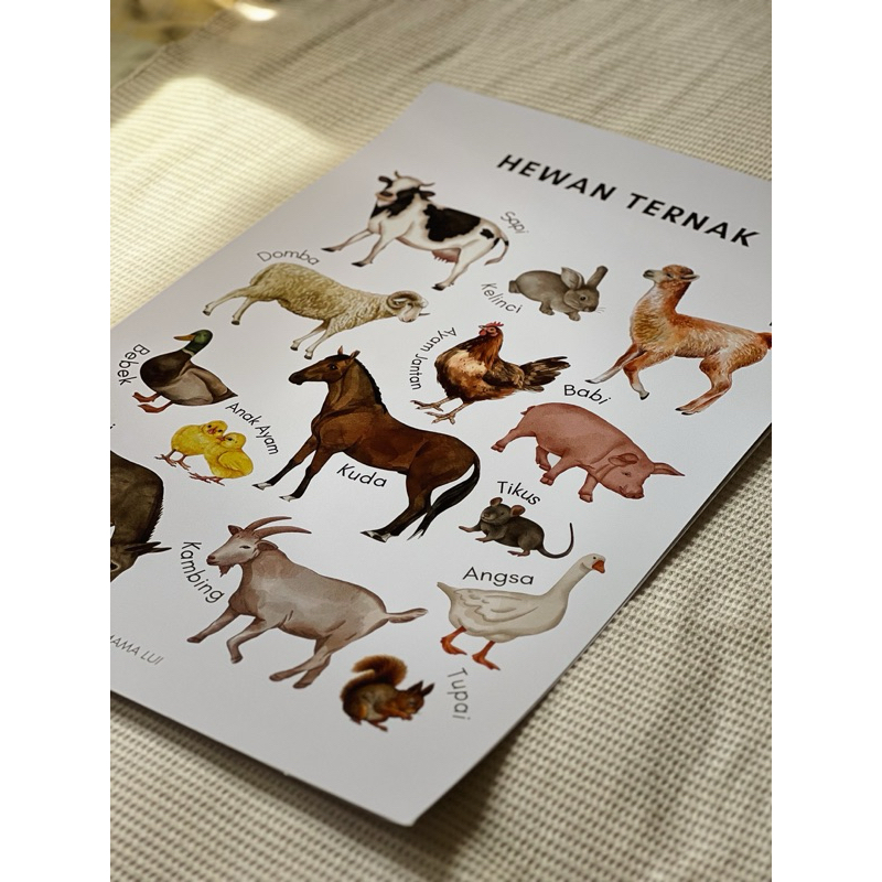 POSTER EDUKASI ANAK AESTHETIC | Poster Edukasi | Poster Hewan | Poster Huruf & Angka | Poster Aesthe