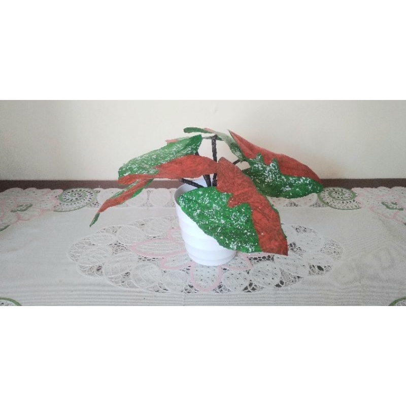 Tanaman hias Plastik Bunga Keladi Merah