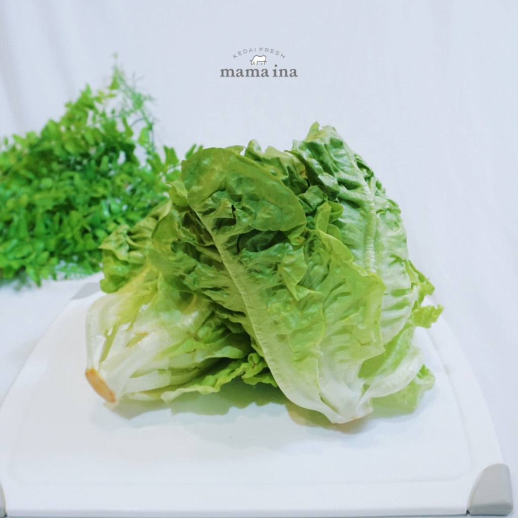 Baby Romaine 300g