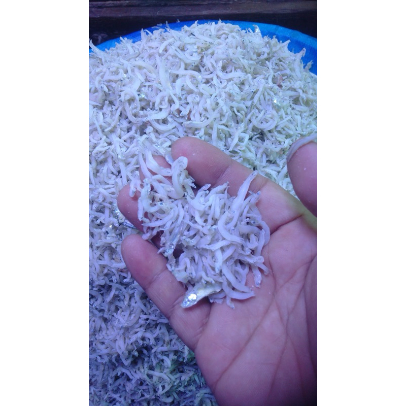 

Teri nasi medan kiloan bisa kirim seluruh indonesia