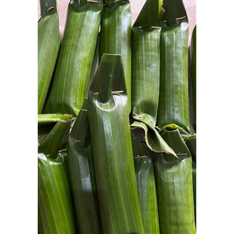 

bonggolan tajungan