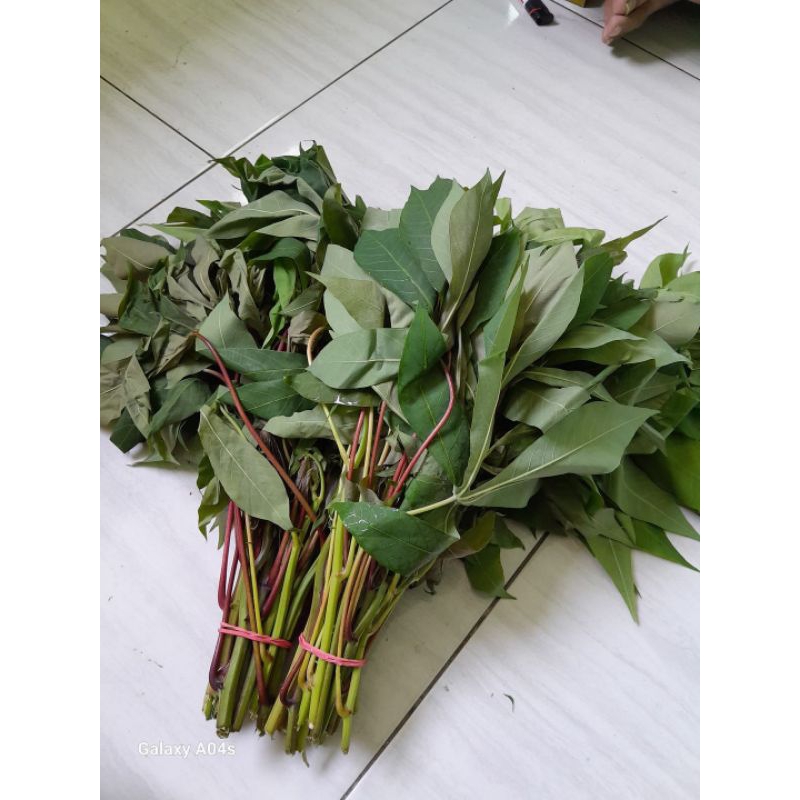 

Daun singkong 1 ikat