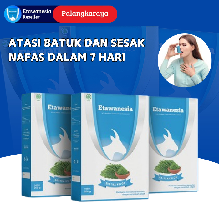

3 Box Etawanesia Susu Bubuk Etawa Murni Plus Moriga Anti Alergi Atasi Batuk Sesak Nafas Dan Semua Penyakit ISPA Lainnya