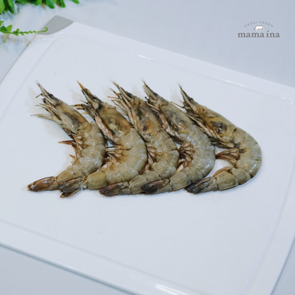 

Udang Dogol 500g