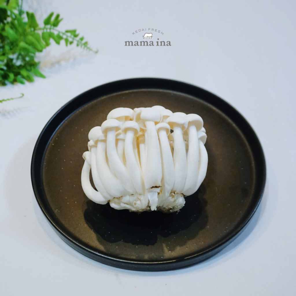 

Xing Fu Bao White Bunashimeji Mashroom 100g