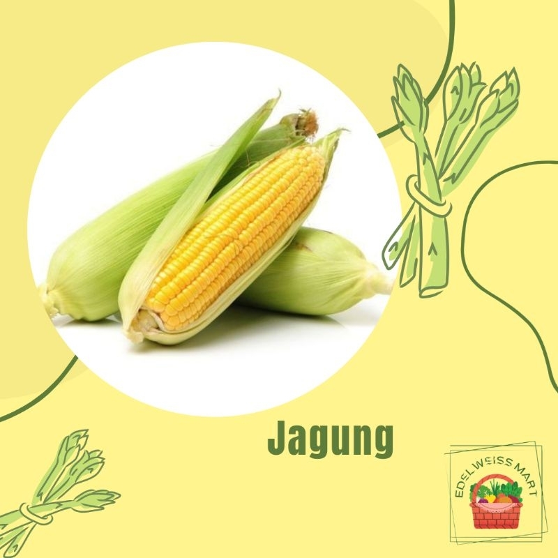 

JAGUNG +-300g (FRESH) - INSTANT SEMARANG