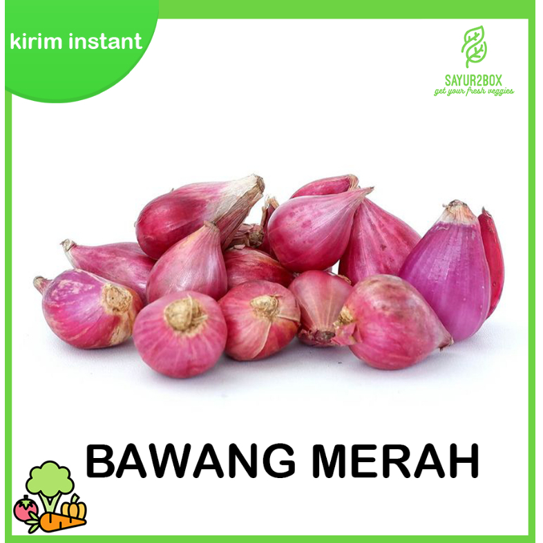 

BAWANG MERAH 250