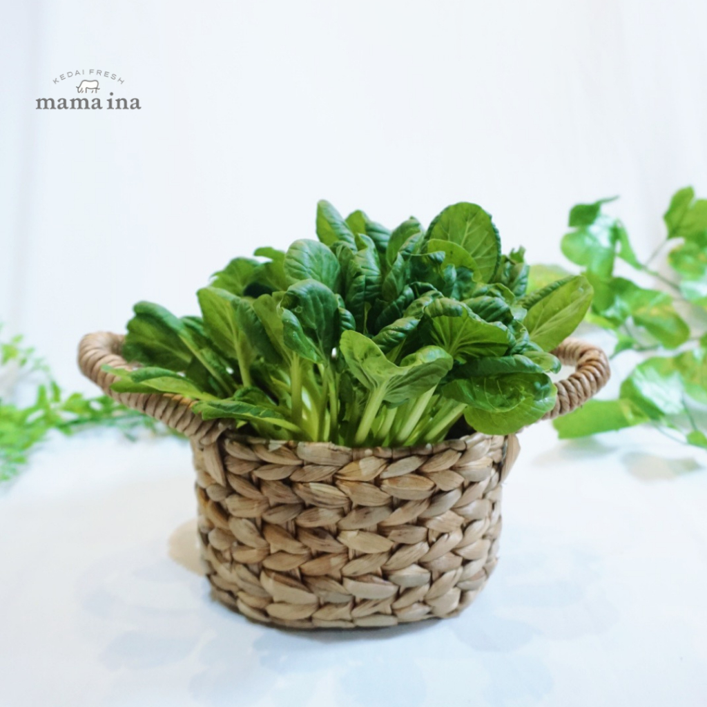 

Pagoda Organik 250g
