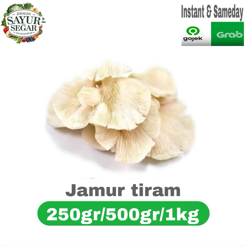 

JAMUR TIRAM/JAMUR KUPING 250gr/500gr/1kg