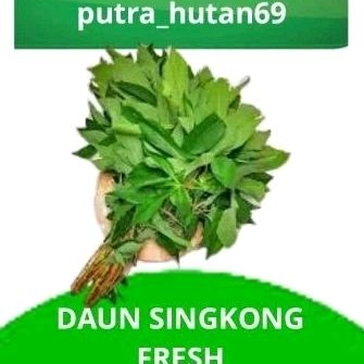 

LALAPAN SUNDA DAUN SINGKONG 500g
