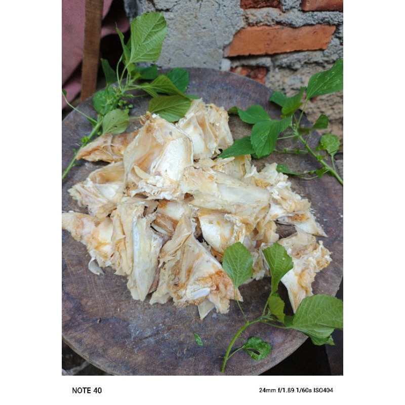 

ikanasin murah Tulang jambal roti