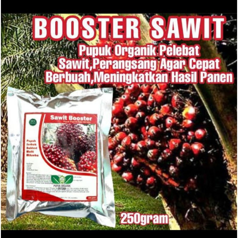 Boster Perangsang Sawit / Pupuk Organik Pohon Sawit Agar Cepat Berbuah Dan Lebat