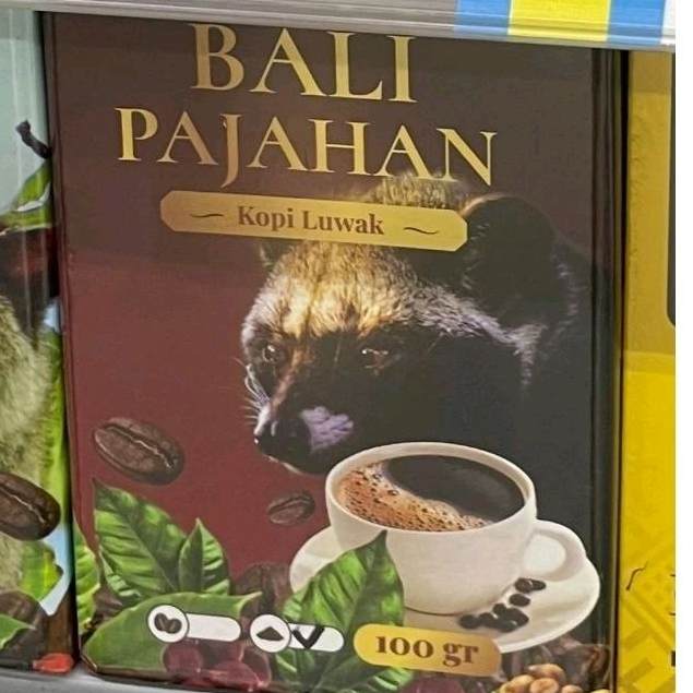 

Bali pajahan kopi luwak 100gr