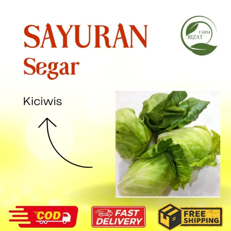 

[Dikirim Instant] Sayur Keciwis Kuciwis Kiciwis Ciwis