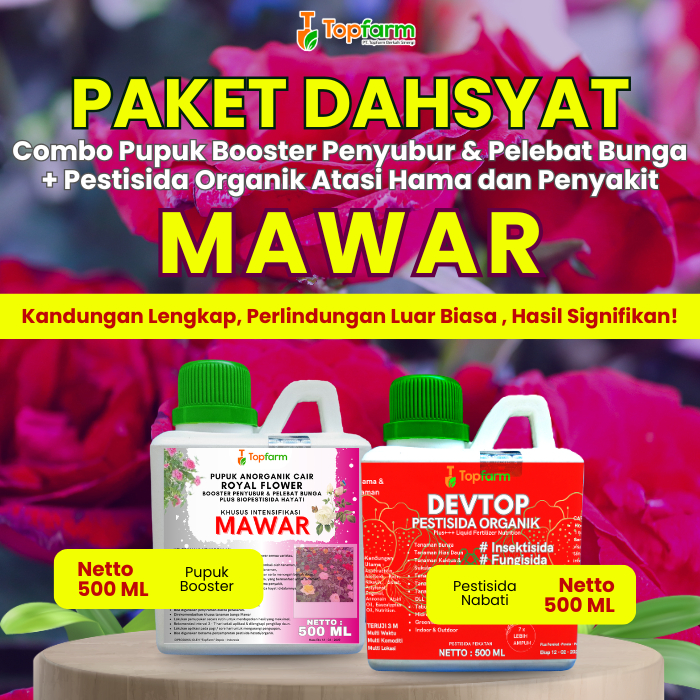 Pupuk dan Pestisida Cair untuk Tanaman Bunga Mawar Paket 500 ml Membantu Pertumbuhan serta Perlindun