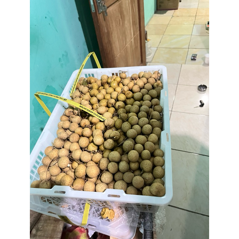 

lengkeng import