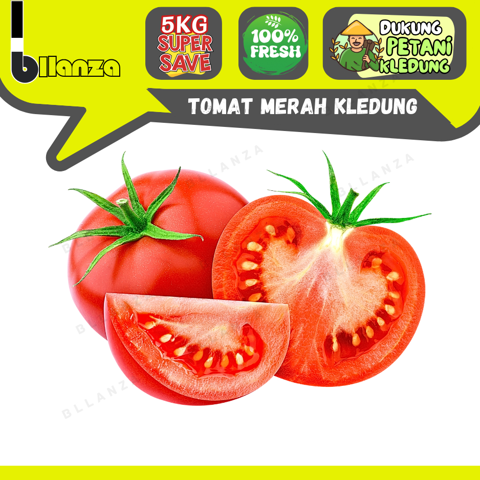 

Bllanza | Tomat Merah Konvensional — GROSIR Sindoro Sumbing (A)