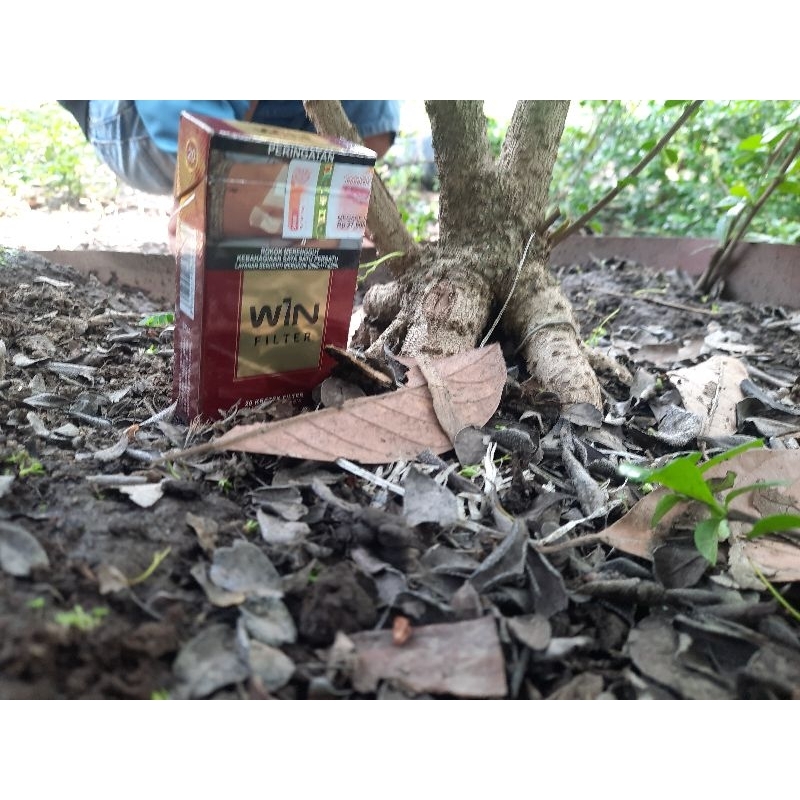 hokiantea