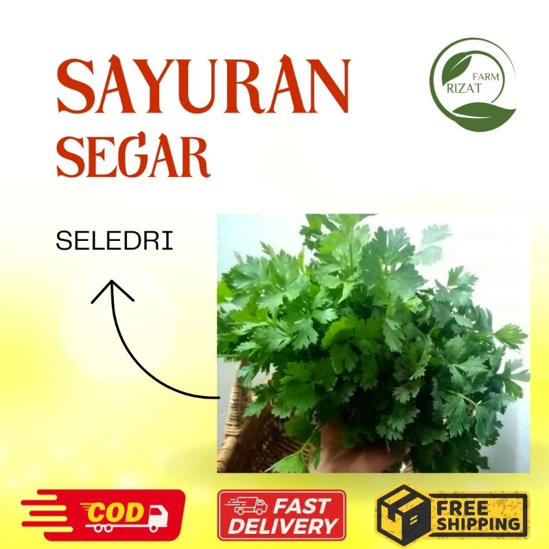 

[Dikrim Instant] Daun Seledri Segar
