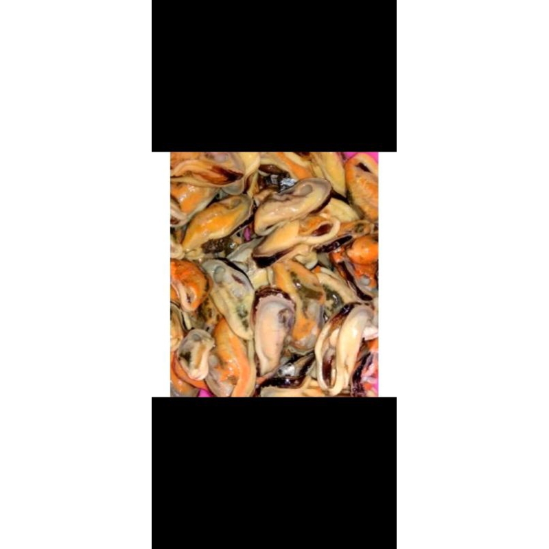 

kerang ijo kupas