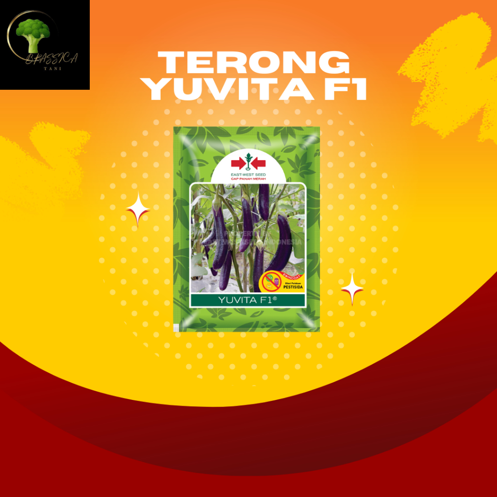 Terong Yuvita F1