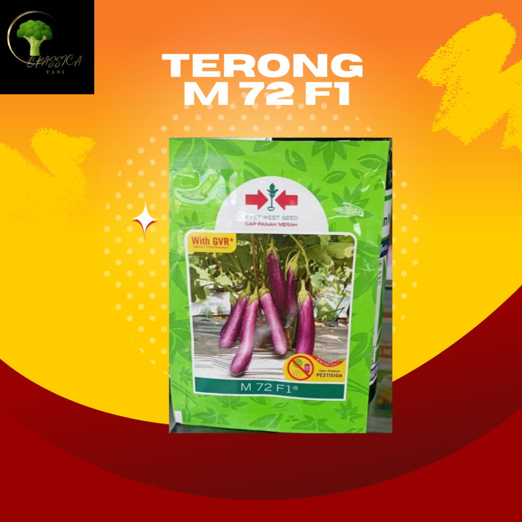 

Terong M 72 F1