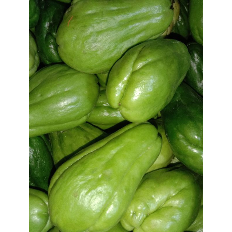 

Labu Siam