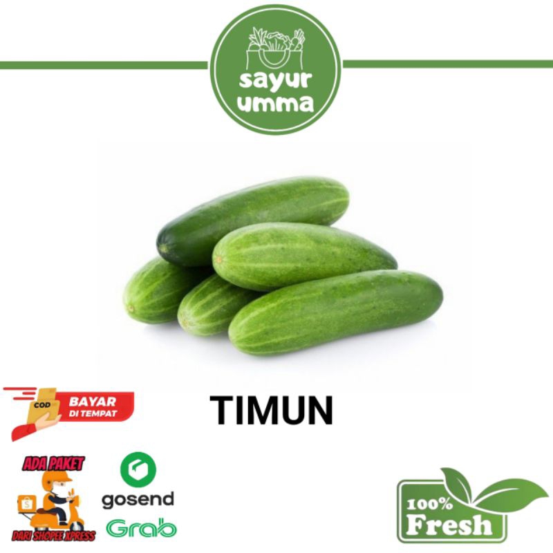 

timun segar, timun besar premium 500g
