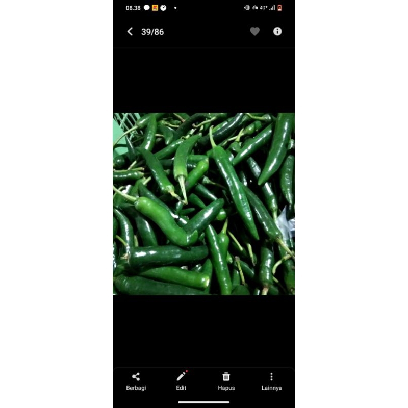 

cabe ijo besar