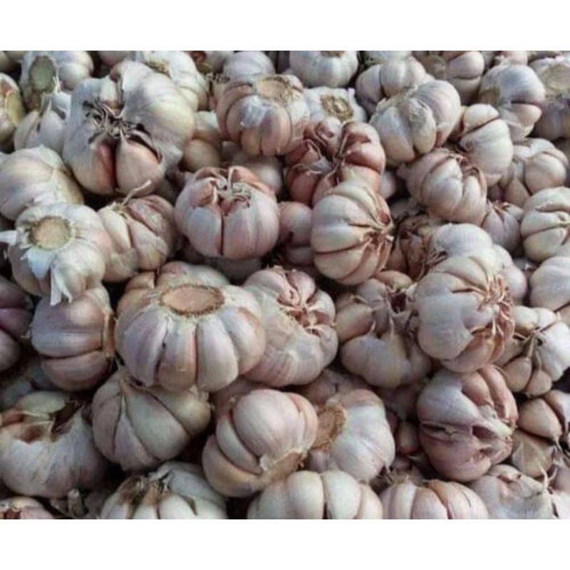 

BAWANG PUTIH IMPORT 1/2 DAN 1KG.