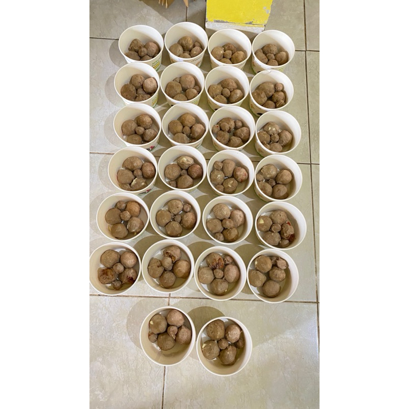 

Bakso Mozarella Frozen Food