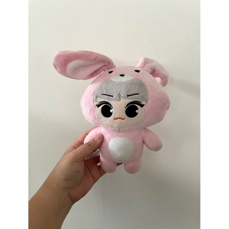 PRELOVED Boneka Plush Doll Koleksi Pribadi Sanrio Disney Minnie Bear Kakao Friends Apeach Ryan Frodo