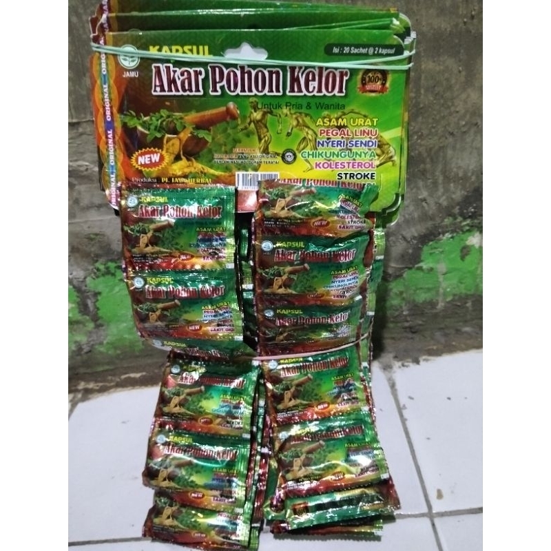Kapsul Akar Pohon Kelor original