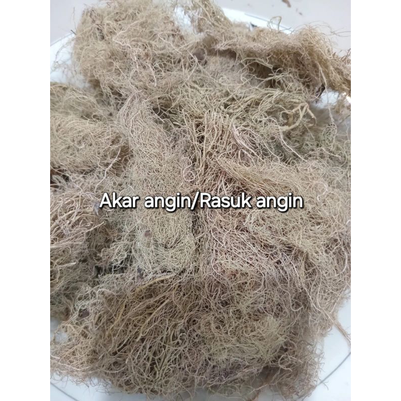 

Ready Langsung kirim Herbal Kayu angin 100gr/ Rasuk Angin /Akar Angin