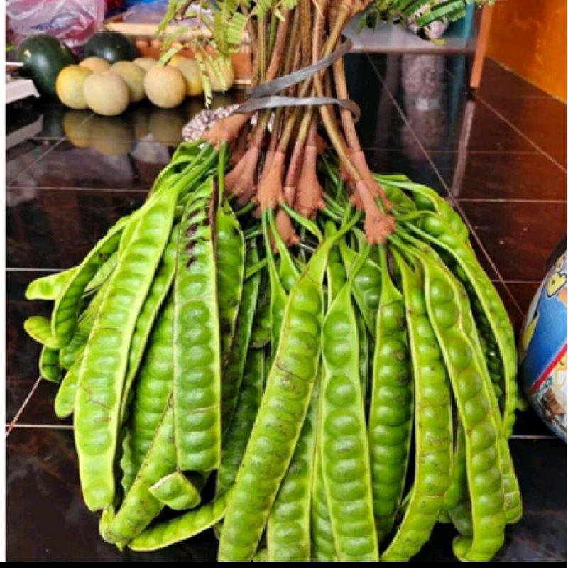 

Pete murah per ikat/Pete segar 1 ikat (5 papan)/Pete tua 1 ikat/Pete 5 papan.