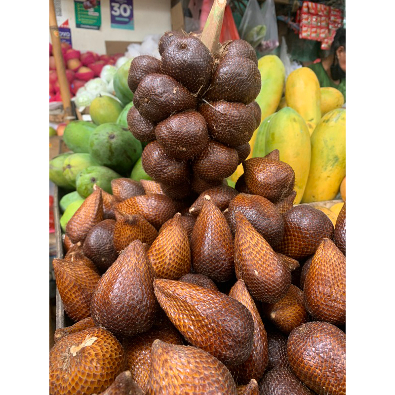 

salak pondoh