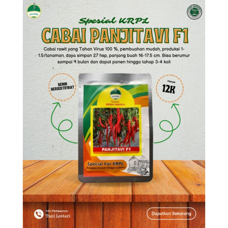 BENIH CABAI KERITING PANITAVI F1
