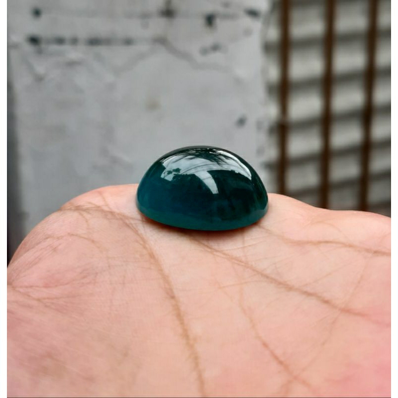 BACAN DOKO COKLAT JUMBO MUMBUL SUPER MURAH