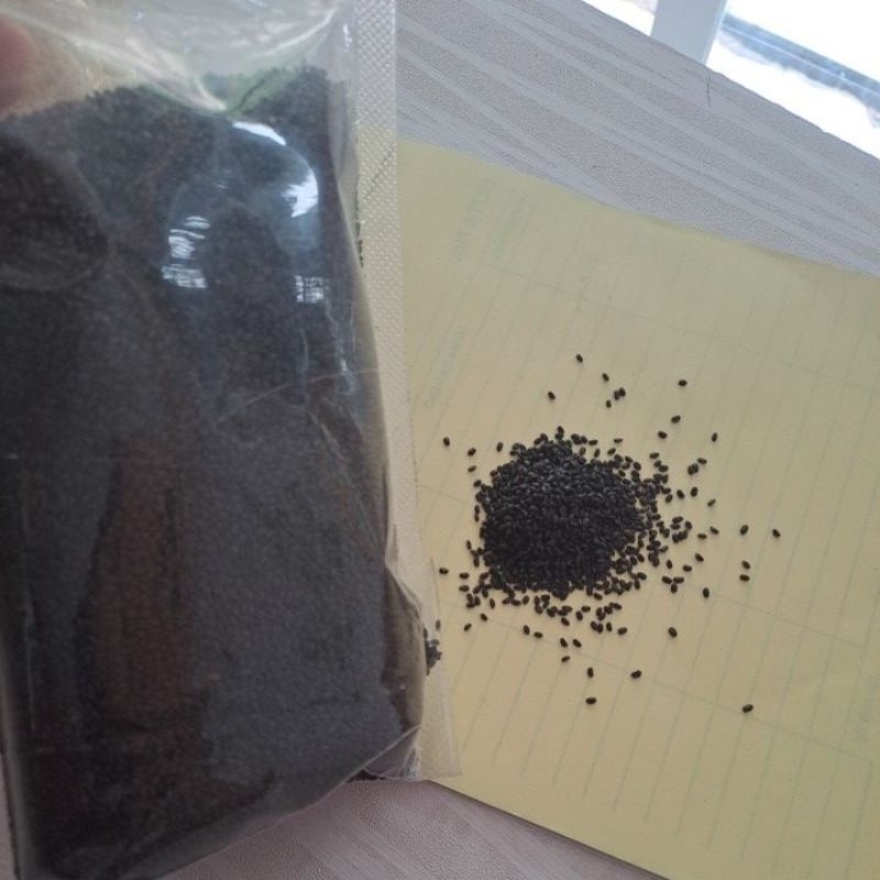 

Biji Selasih per 1 kg