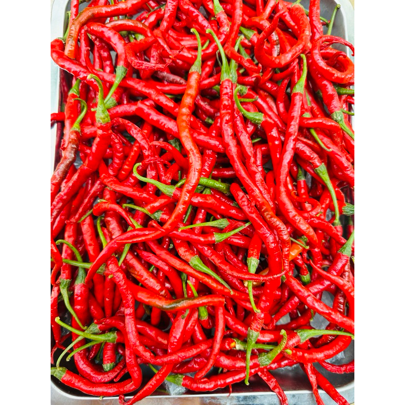 

CABE KRITING IMPERIAL SUPER BERAT 1 KG ready stock