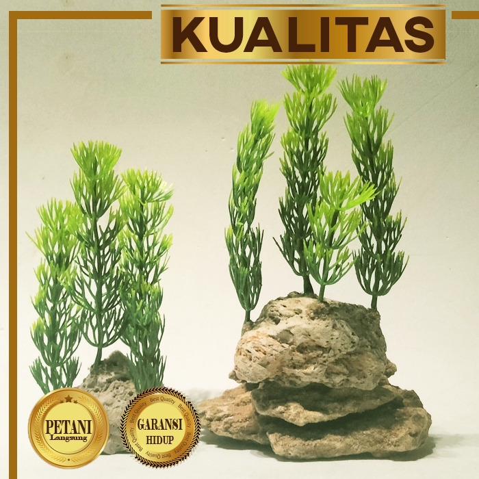 Tanaman Plastik Cabomba Hijau Air Hiasan Aquarium Ikan Hias Aquascape