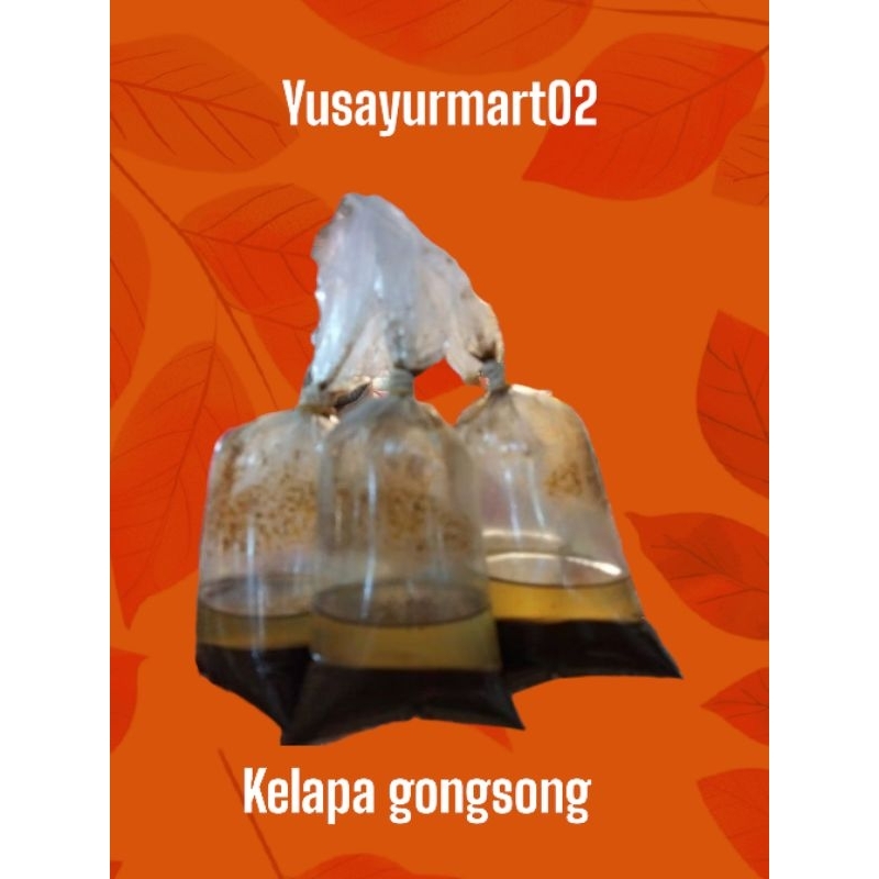 

kelapa gongsong per bungkus