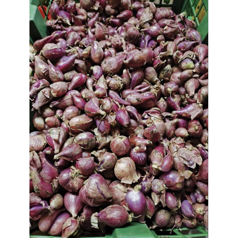 

bawang merah berebes berat 250grm