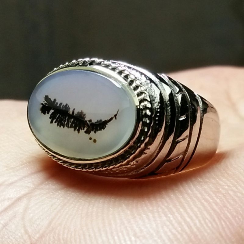 Batu Dendrite Kristal Gambar Bulu Angsa. Bukan Batu Bacan Coklat Bacan Doko Kristal Bacan Doko Majik