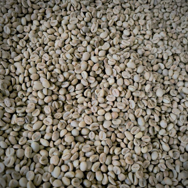 

Volcano coffee Robusta Greenbean petik merah Kopi Temanggung