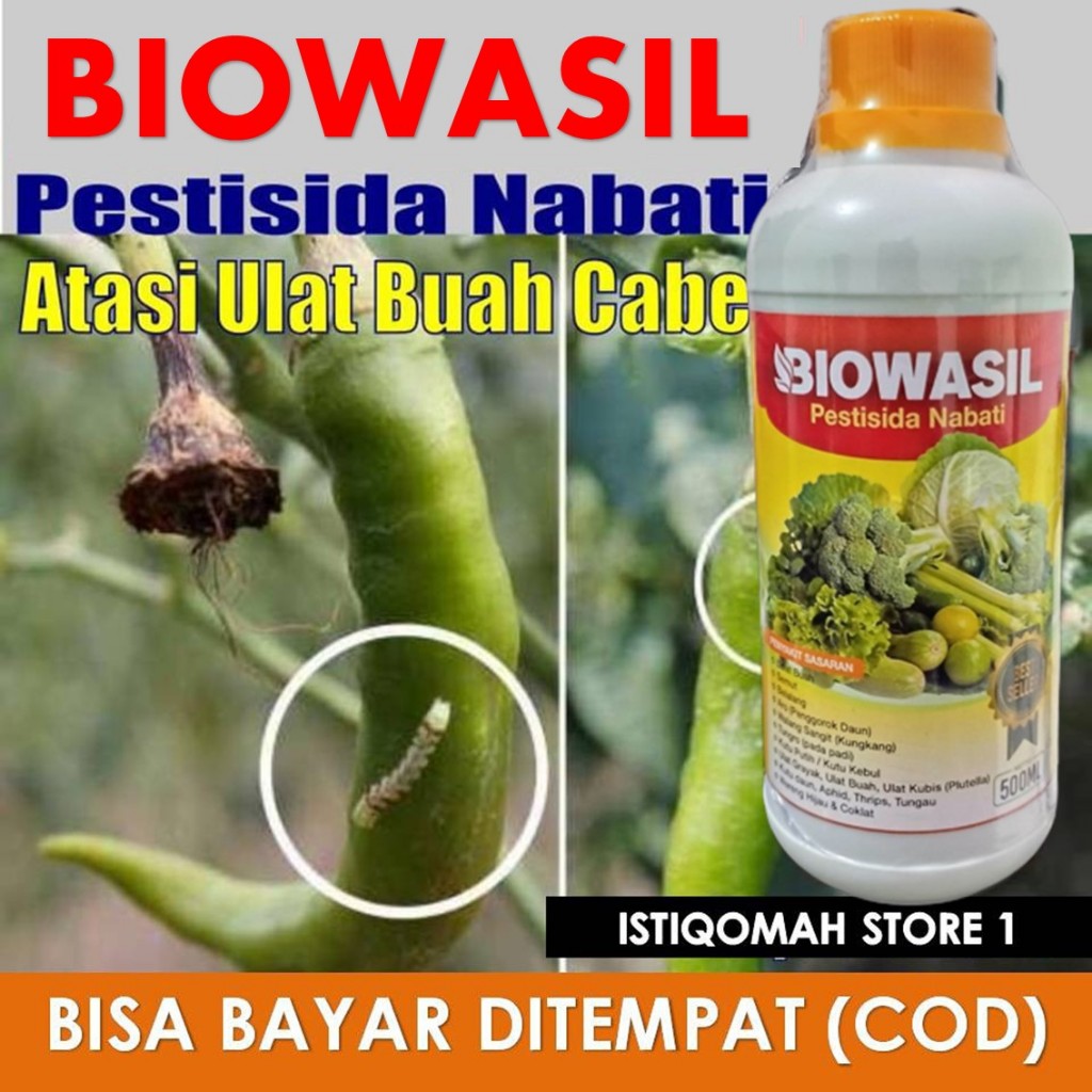 PROMO OBAT ANTI HAMA TANAMAN, BELALANG, ULAT BULU, TANAMAN CABE, PESTISIDA BIOWASIL ANTI HAMA TERBAI