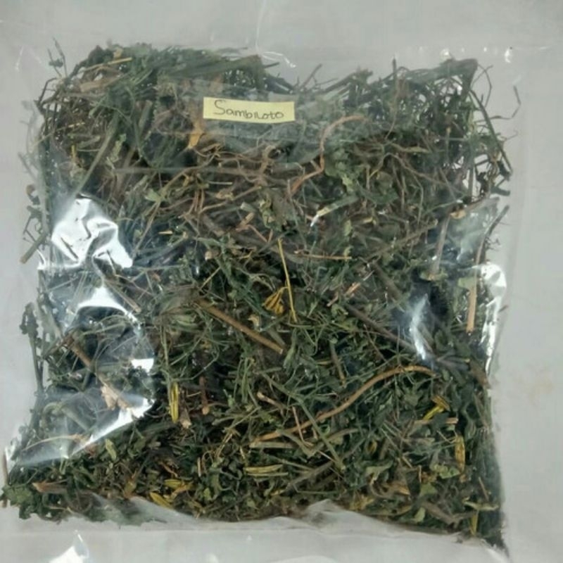 

Sambiloto kering 500gram / SAMBILOTO KERING / JAMU / HERBAL / SAMBILOTO PREMIUM