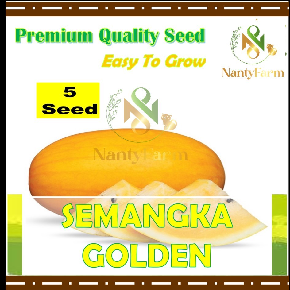 5 Biji Benih Semangka Golden Buah Semangka Golden Benih Buah Berkualitas