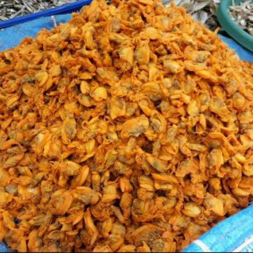 

KEPAH ASIN KERING IKAN ASIN KEPAH