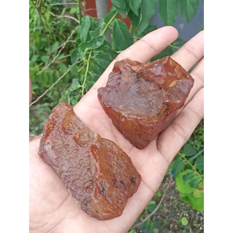 ✅ 2 pcs Batu Akik Raflesia ( Rough / Bahan Batu Akik Natural - bukan bacan obi fire opal kalimaya re